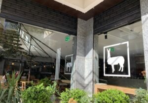 The High Llama Coffee Shop Beirut