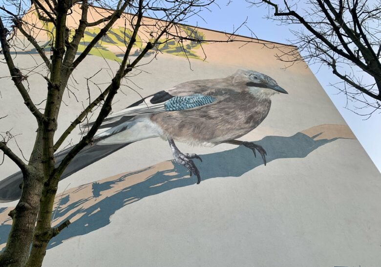 Bird Murals by Wojciech Rokosz Krakow
