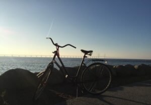 Biking in Malmö Malmö