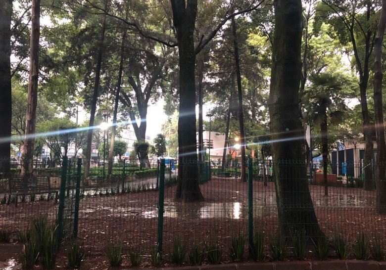 Canine Park at Alfonso E. Park Mexico City