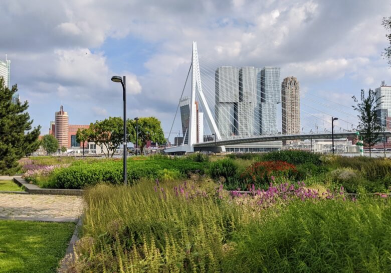 Leuvehoofd Rotterdam