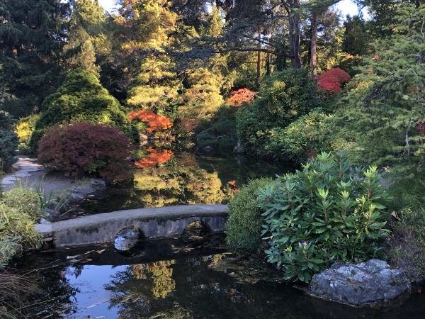 Kubota Garden Seattle Spotted By Locals