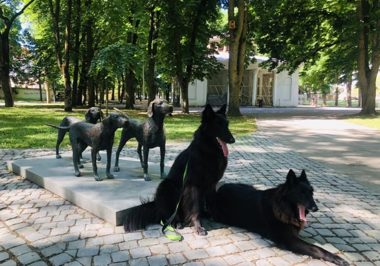 A Sculpture for Lithuanian Hounds  Vilnius