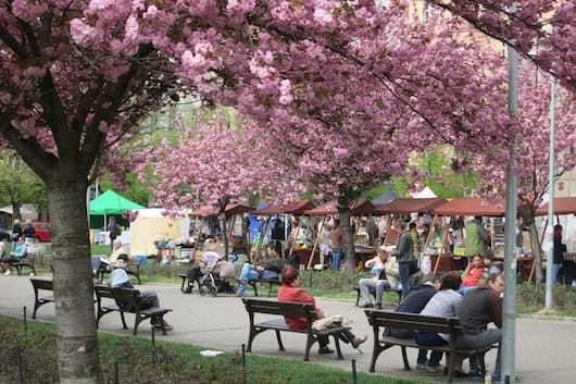 Jiřák Farmer's market Prague