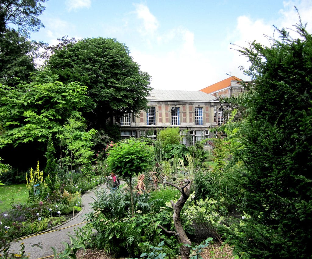 Botanical Garden Antwerp (by Kevin Ducheyne)