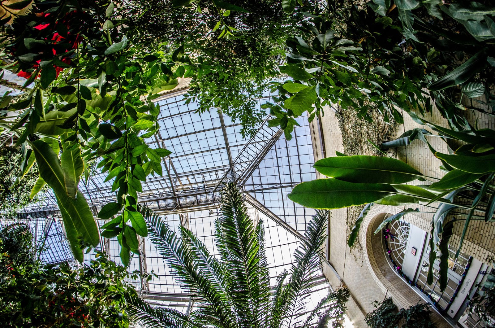 US Botanical Gardens (by m01229)