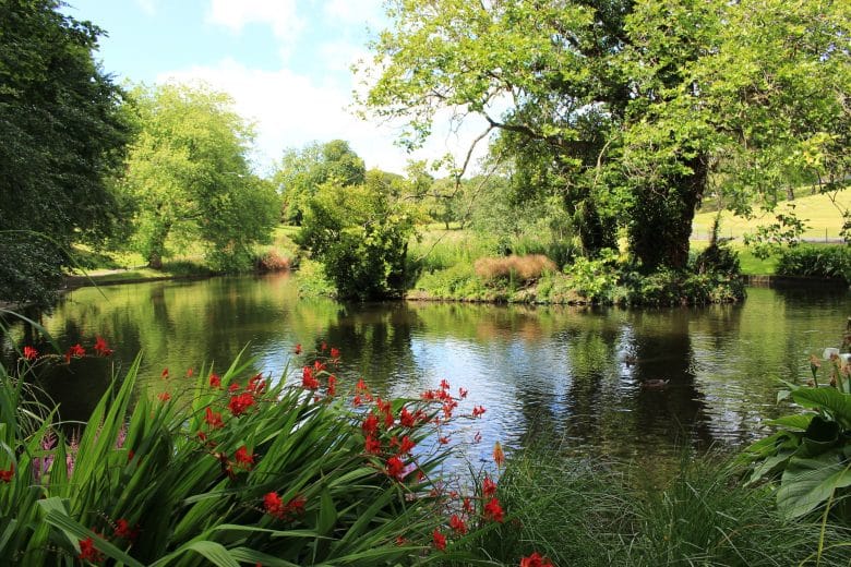 Phoenix Park Dublin
