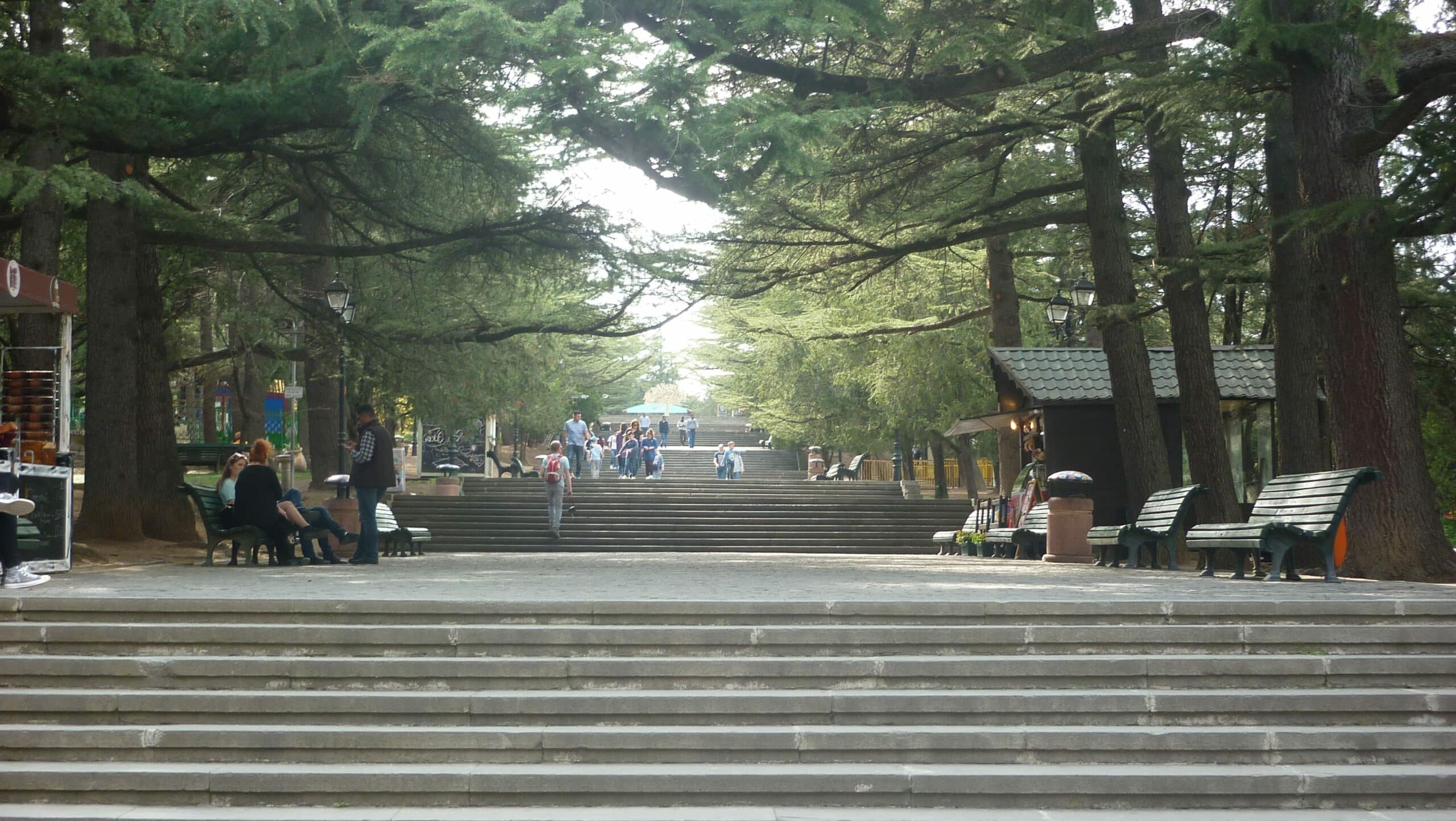 Stairs going up in the park