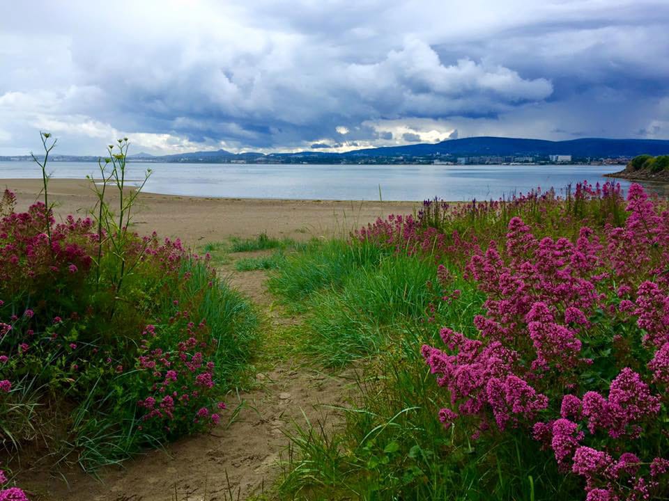 Shelley Banks Beach (by Alina Ecke)