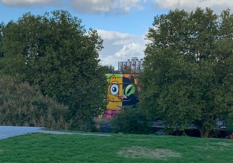 Dak Park Rotterdam