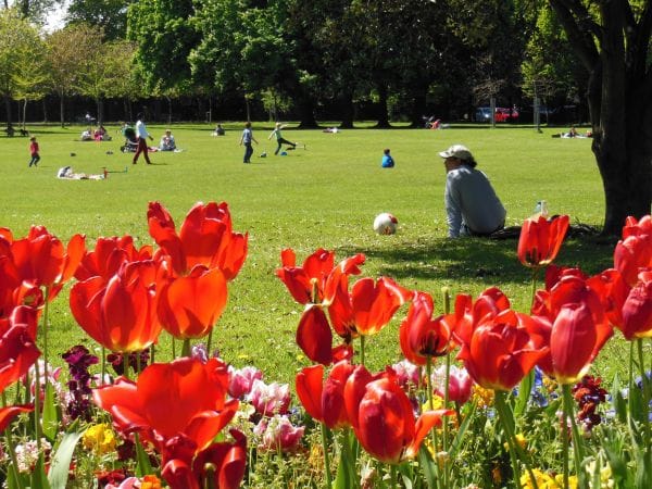 Herbert Park (by Claudia Rodriguez)