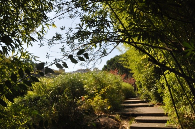 Jardins da Gulbenkian Lisbon