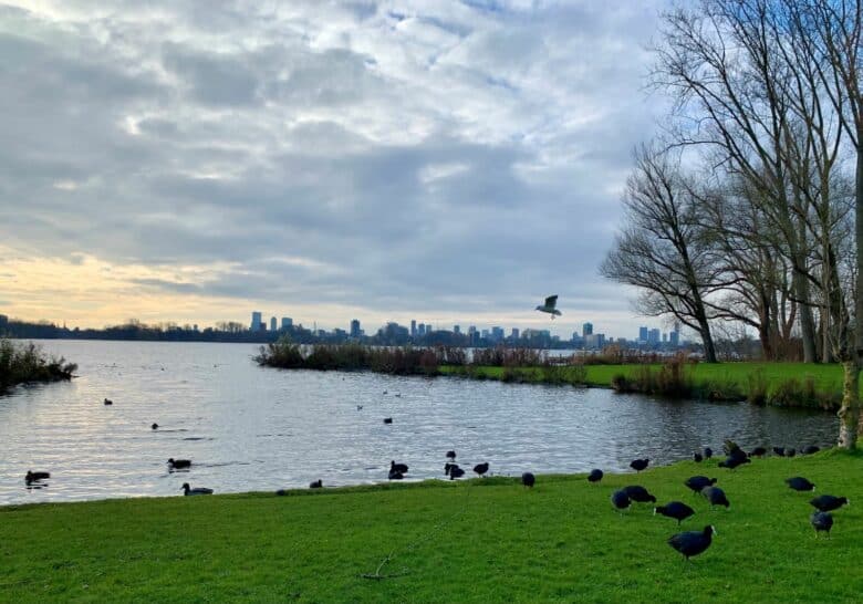 Kralingse Plas & Bos Rotterdam