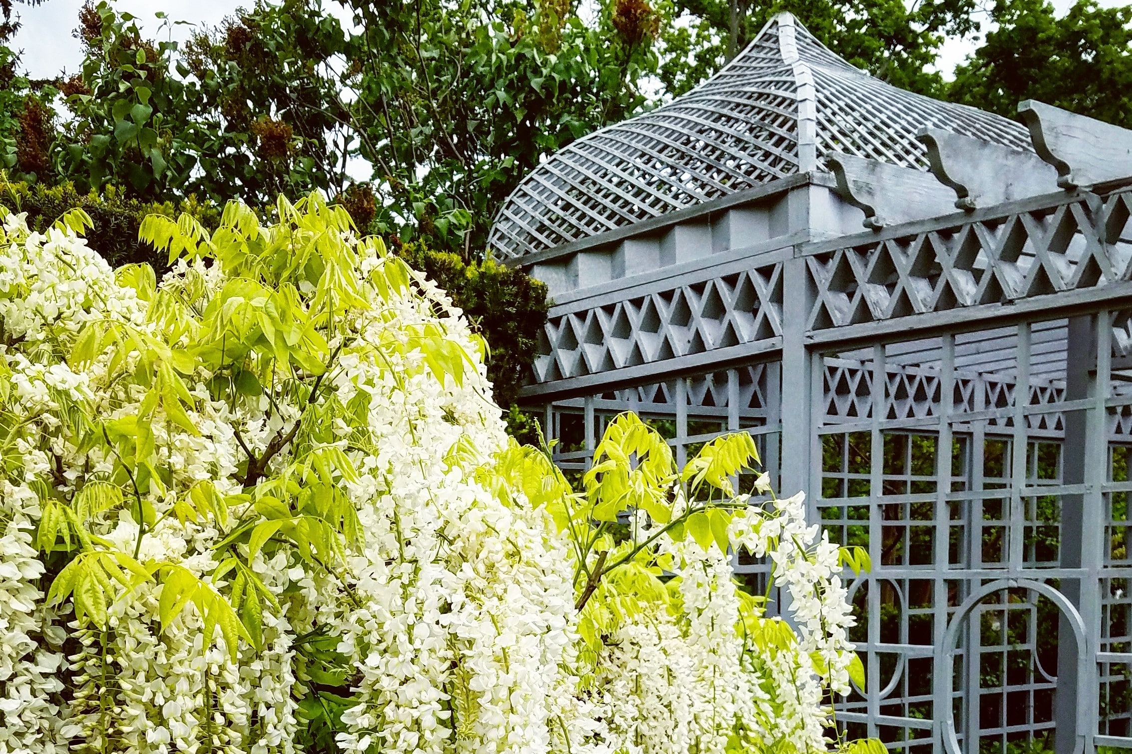https://www.spottedbylocals.com/wp-content/uploads/2024/06/snug-harbor-newyork-by-paula-ryszkiewicz.jpg