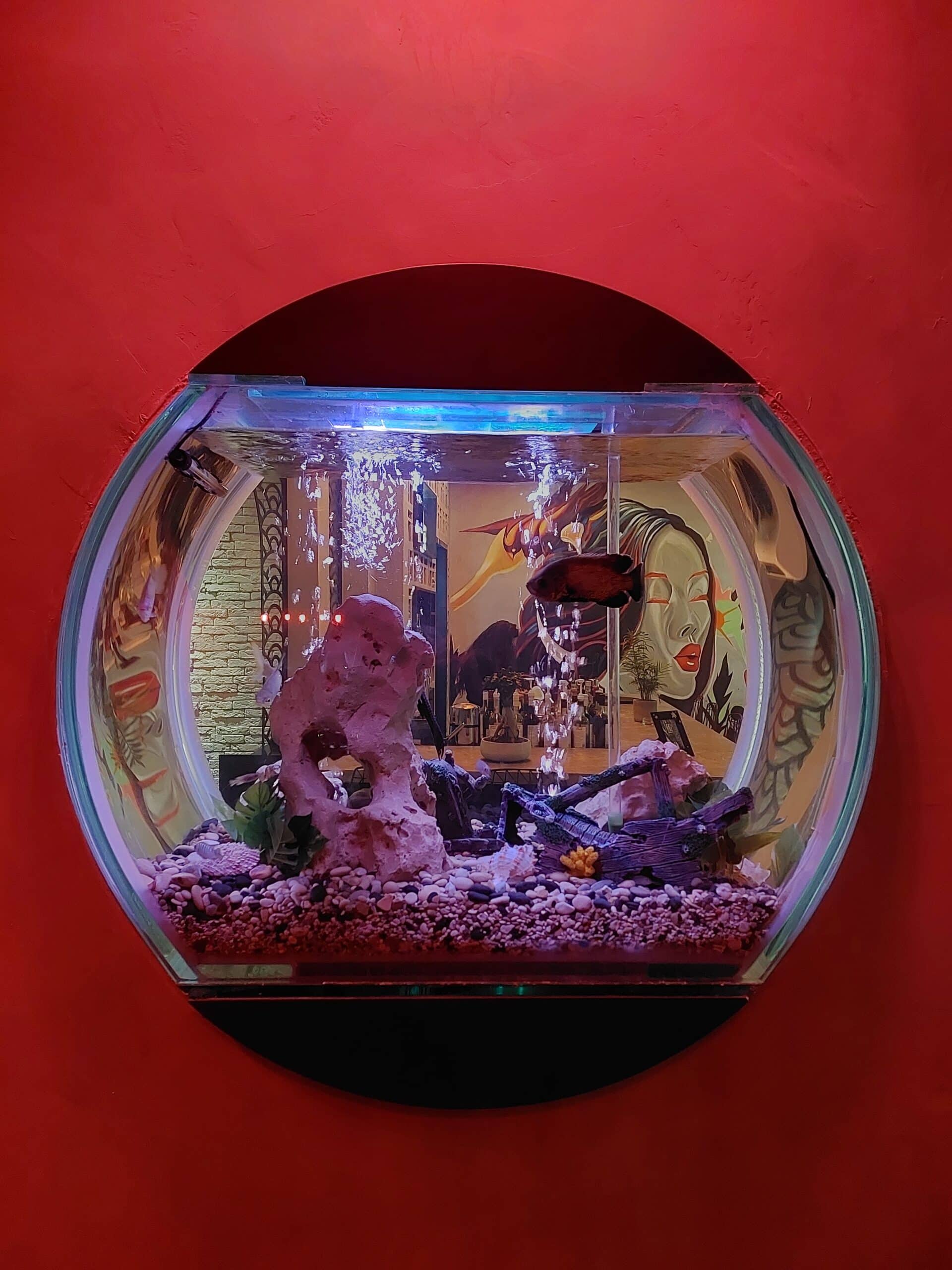 Chop Suey Beirut Chinese please