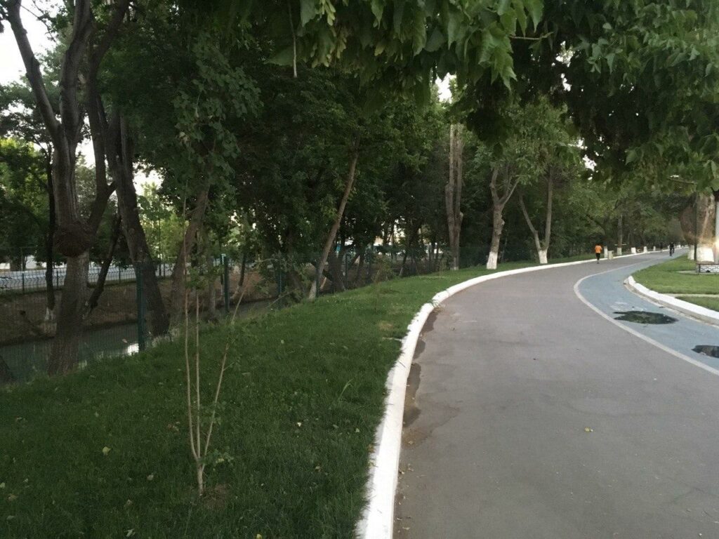 Baynalminal St./Seoul Alley Tashkent
