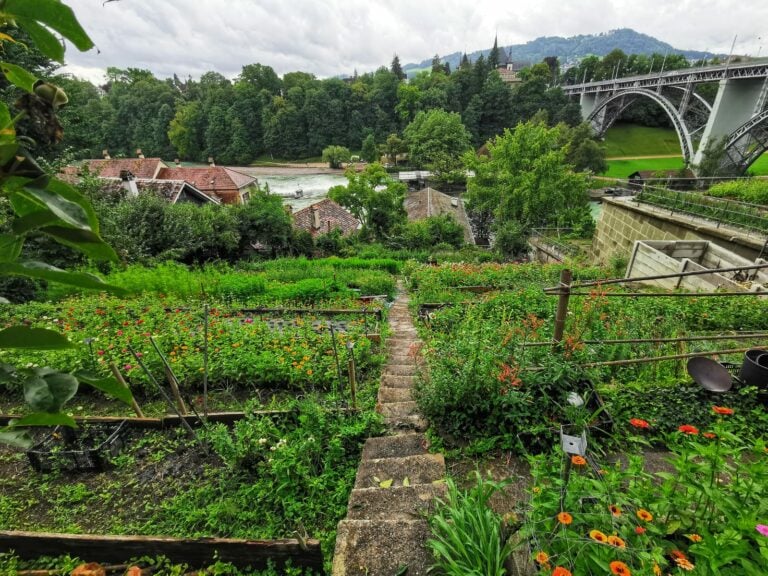 Blumengärtnerei Fuhrimann Bern