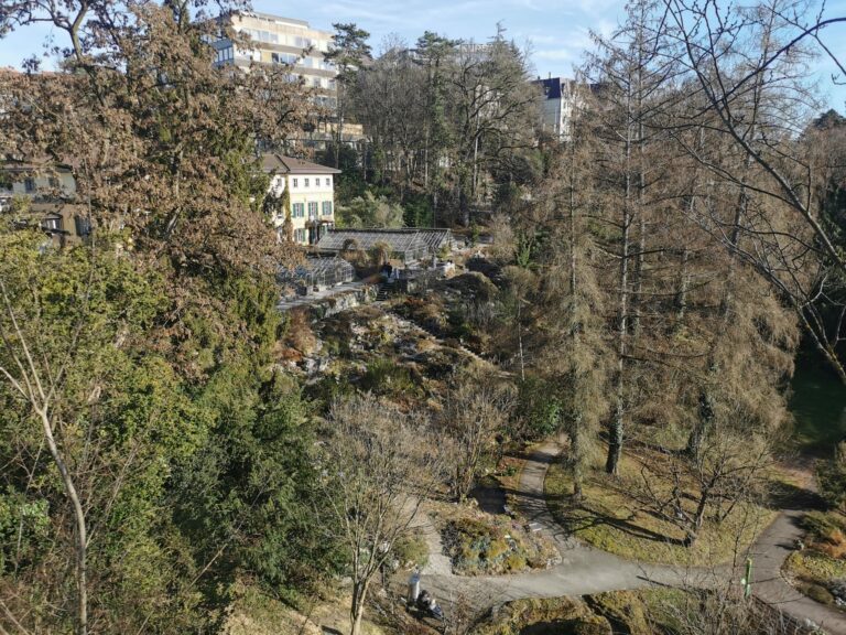 Botanischer Garten Bern Bern