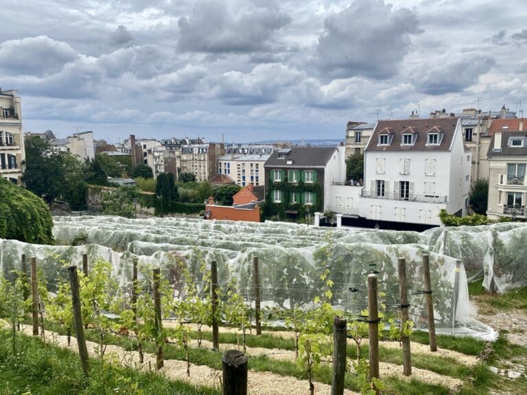 Clos Montmartre Paris