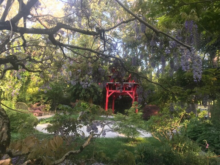 Geneva's Botanical Garden Geneva