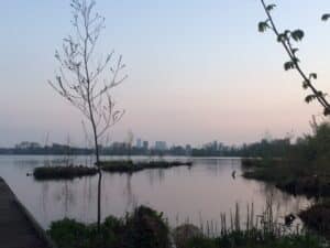 Heemtuin Kralingse Bos Rotterdam