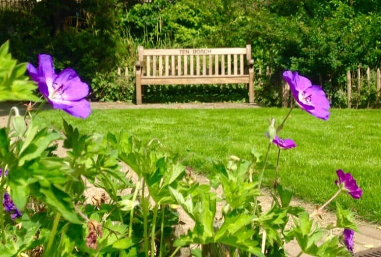 Parc Tenboch Brussels