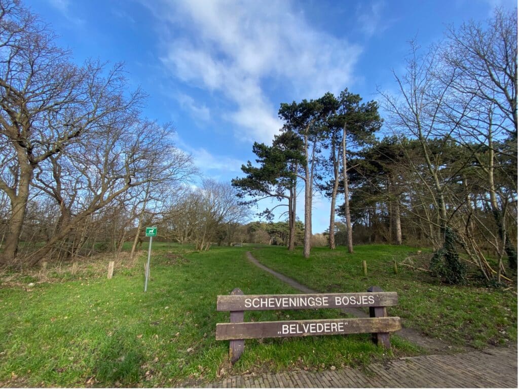Park Belvedere The Hague