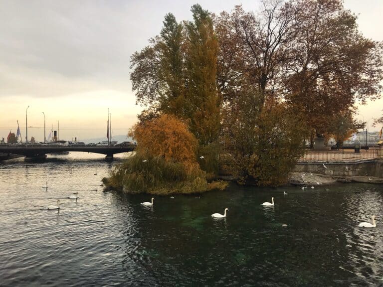 Pont des Bergues Geneva