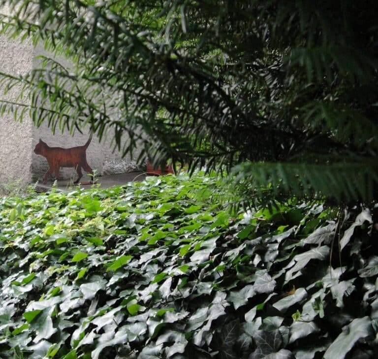 Schrödinger's Cat Zurich