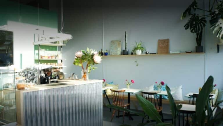 Sharp Sharp Rotterdam