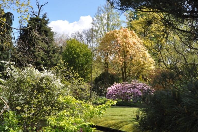 Trompenburg Rotterdam