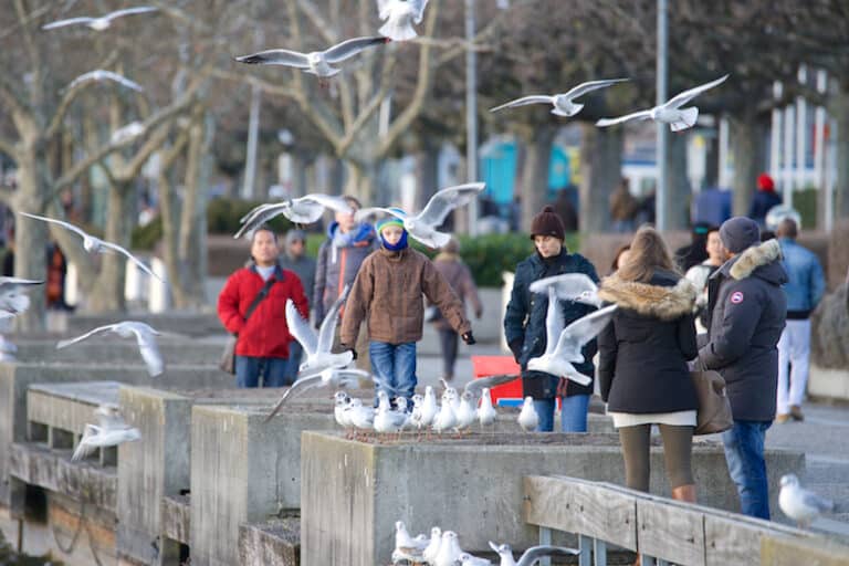 Utoquai Promenade Zurich