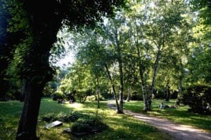 Wohlerspark Hamburg